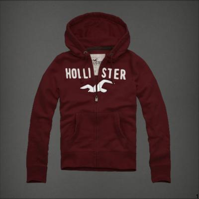 Hollister Men Hoodies-5